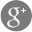 gplusicon
